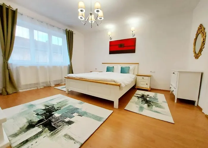 Casa Dușa - Apartament Crisstina