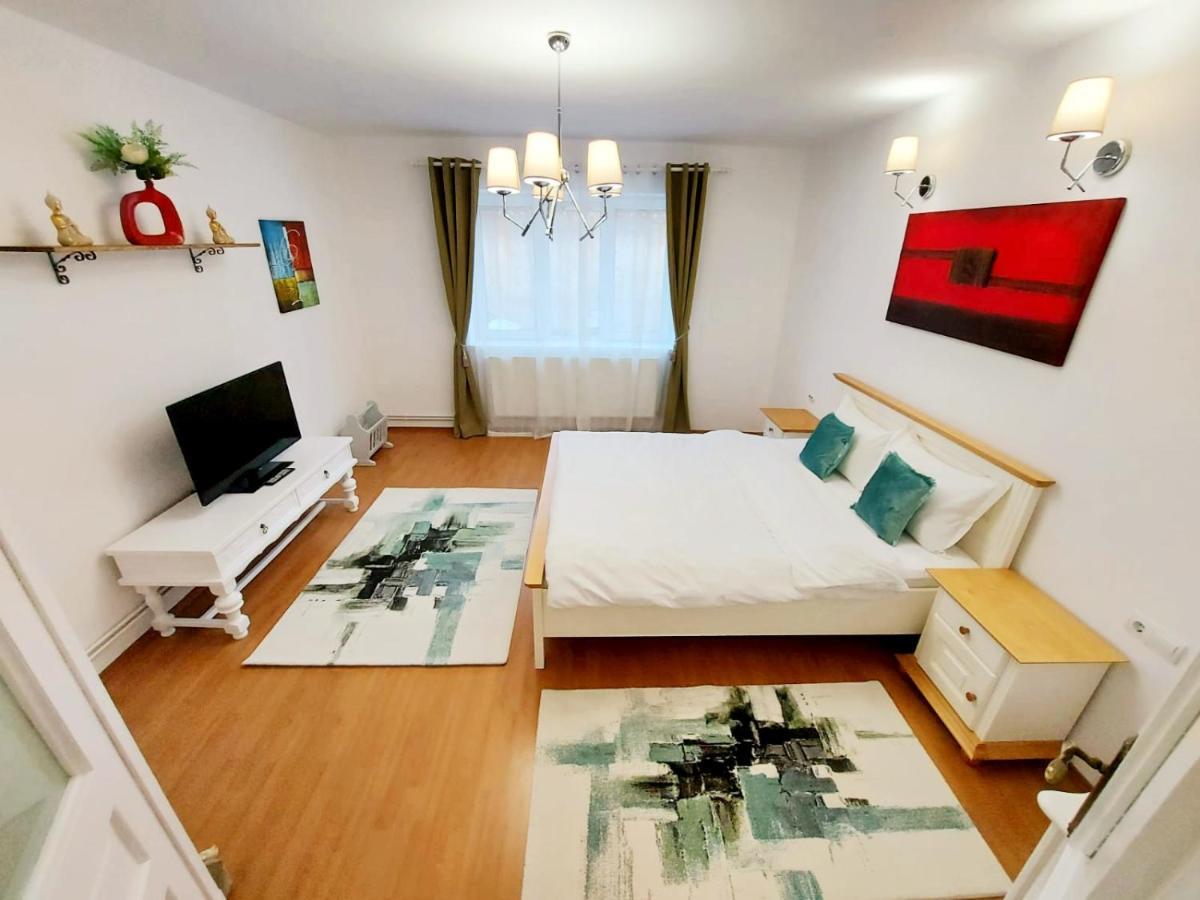 Casa Dușa - Apartament Crisstina