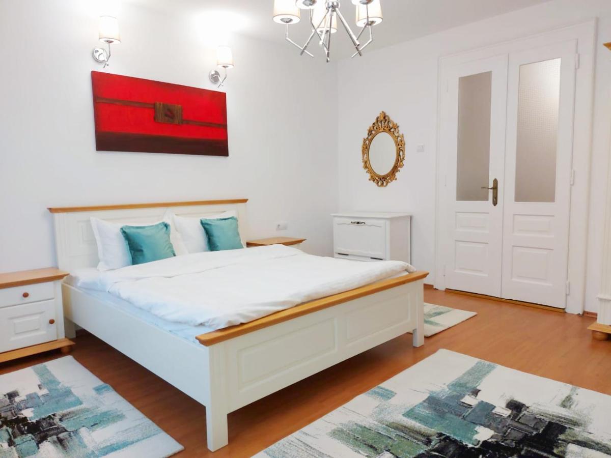 Casa Dușa - Apartament Crisstina