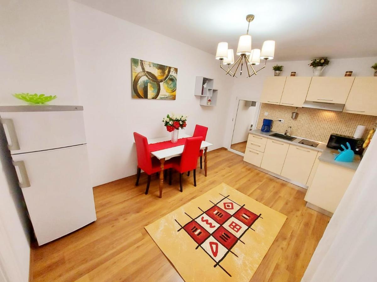 Apartament Casa Dușa - Apartament Crisstina *